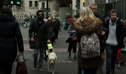 LJUDI, DA LI STE NORMALNI? Slepi čovek je na psa stavio kameru, a ono što su prolaznici radili RAZBESNELO je SVE (FOTO/VIDEO)