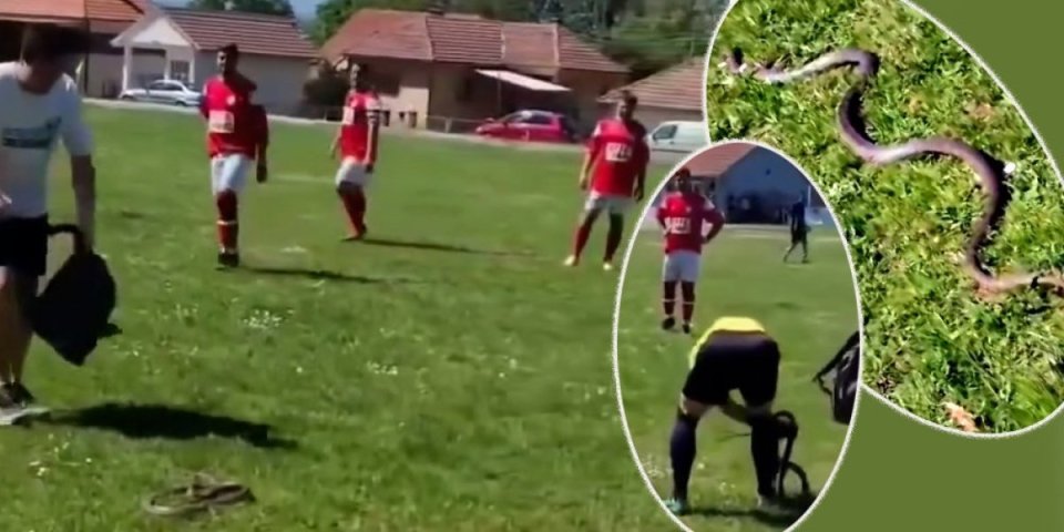 (VIDEO) Urnebes na fudbalskoj utakmici leskovačke gradske lige! Zmija ušetala na teren!